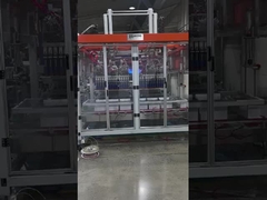 6 cabeças Máquina automática de embalagem de caixas de cartão, 25 caixas/min