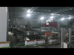 Máquina de vedação de cartões, máquina de paletização robótica