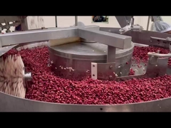 Cliente da Etiópia, 24-6 máquina de enchimento e costura de latas de molho espesso, 300-400 latas/min