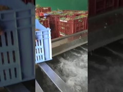 Máquina de lavar frutas/vegetais de tipo bolha, capacidade de produção pode ser personalizada