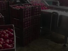 Linha de produção de processamento de sumo de frutas condensado/pasta de tomate